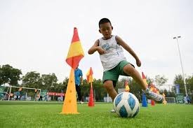 综合体育赛事今日焦点汇总 热门比赛结果与看点解析