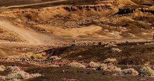 意甲积分榜：米兰1球净胜球优势领先那不勒斯居首