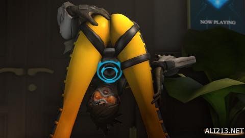 佛羅倫薩用 佛羅倫薩用