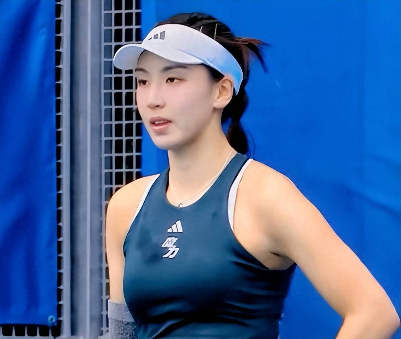 重回巅峰指 重回巅峰指