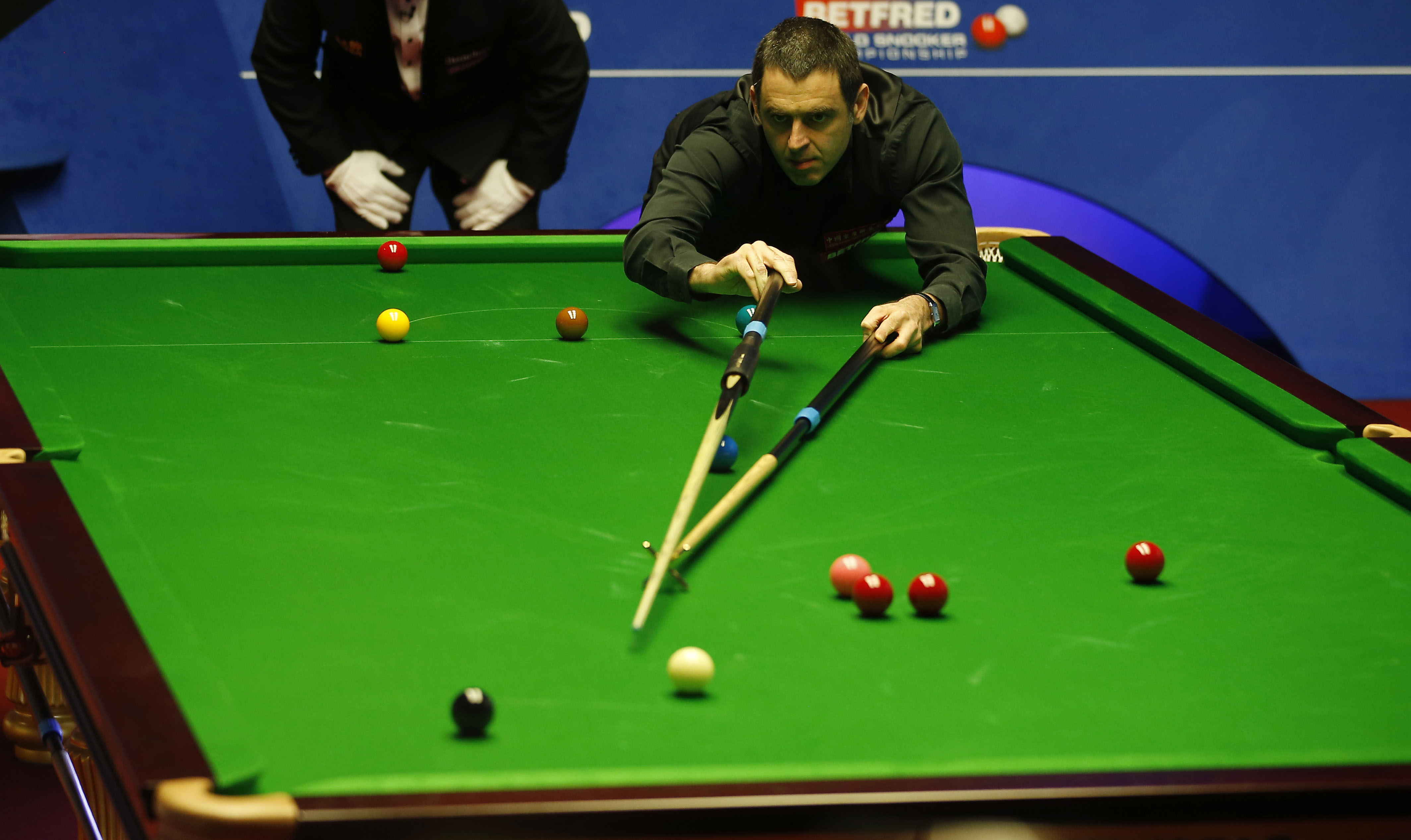 反而继续赞 反而继续赞